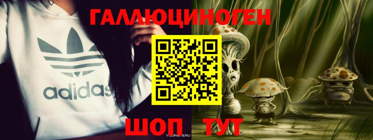 наркота  Вход с VPN  Владимир  Псилоцибиновые грибы GOLDEN TEACHER 