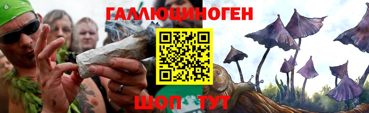 Галлюциногенные грибы Psilocybe Владимир