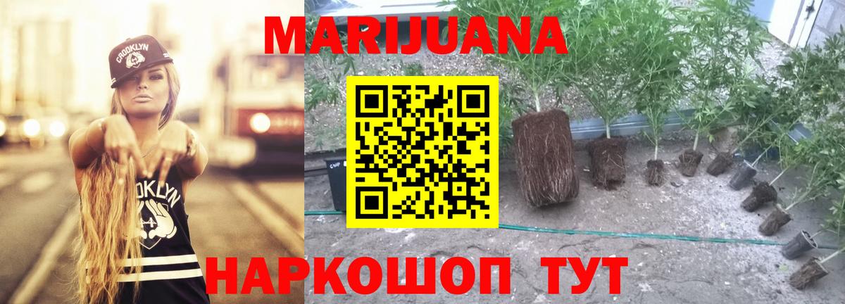 МАРИХУАНА SATIVA & INDICA  Шишки марихуана марихуана  Бошки марихуана тримм  Вход с VPN  Бошки Шишки ГИДРОПОН  Владимир 